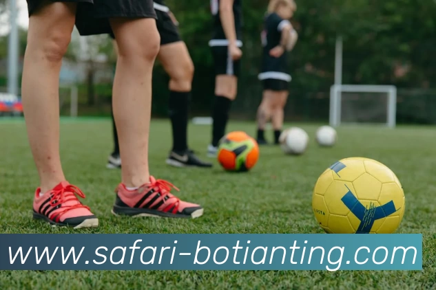 App Interface Preview